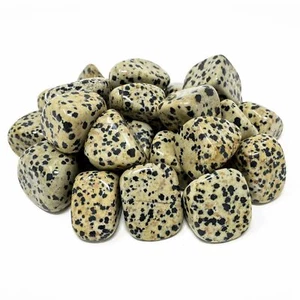 (1) Jaspis (Dalmation) Trommelkristall Präparat mit Beschreibungskarte - Bild 1 von 2