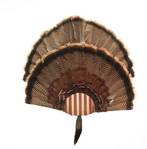 Turkey Fan Mounting Kit. Multiple Fan Display System with beard holder.  Copper - Picture 1 of 6