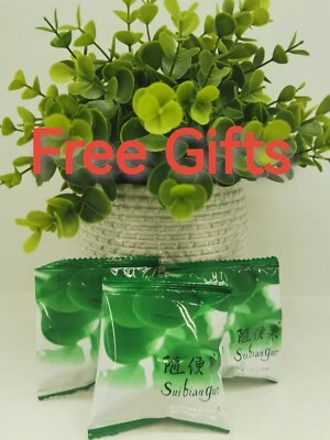 【VENDEDOR DE ESTADOS UNIDOS】Compartir ciruela Suibianguo pérdida de peso dieta natural adelgazante quema de grasa Foto 1 de 4