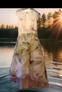 Coast Size 8 Emlie Organza Dress Multi ( Ivory Green) Weddings Prom New RRP£249 - Picture 1 of 14