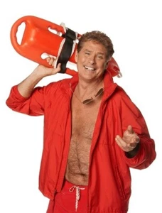 David Hasselhoff Unsigned photo - Actor/Singer - Donation to Cancer Charity *4 - Imagen 1 de 1