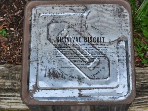 Galleta de supervivencia de defensa civil de Estados Unidos 7 pulgadas sellada 9-1/2" x 14" militar 1962 de colección - Imagen 1 de 24