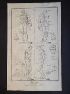 Proportions Statue d’Antinoiis, Dessein, Encyclopédie, Defehrt, Stampa 1763 - Picture 1 of 8