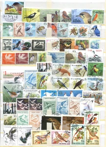 Colección motivos de pájaro o (50549) - Imagen 1 de 2