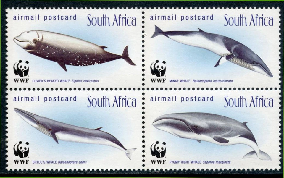 Южная Африка: 1998 WWF киты Южного океана авиапочта блок (C30a) MNH - Изображение 1 из 1