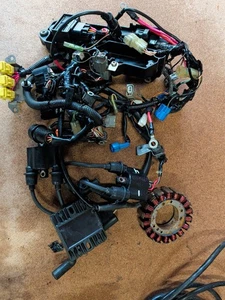 2005 50 HP Yamaha 4 Stroke Electrical Harness Coils Rectifier Stator - Bild 1 von 9