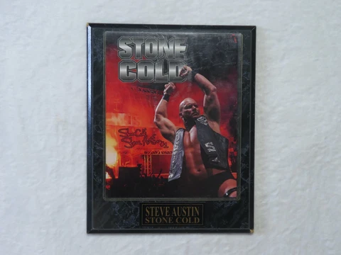 WWF Stone Cold Steve Austin Plaque Pre Owned Rare 13x11 Inch Wrestling Cover