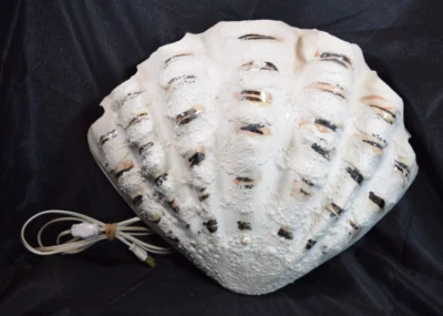Vintage Wall Sconce Giant Clam Shell Metal Handcrafted Painted Lighting Nautical - Image 1 of 4