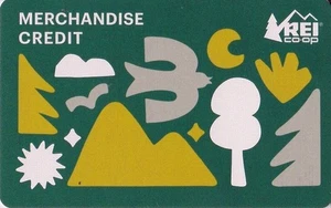$100 REI MERCHANDISE CREDIT - GIFT CARD - REI STORE OR ONLINE - FAST SHIPPING - Picture 1 of 1