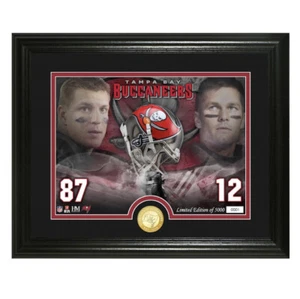 Tom Brady&Rob Gronkoski Tampa Bay Highland Mint 13x16BronzeCoinPhotomint Limited - Picture 1 of 1