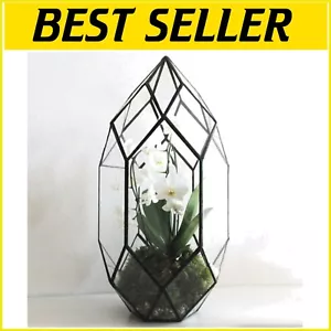 Elegant 10-Inch Triangular Glass Terrarium - Ideal for Air Plants and Succulents - Picture 1 of 9