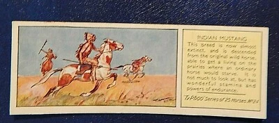 INDIAN MUSTANG  No24 TYPHOO TEA VINTAGE TRADE CARD 1938 HORSES SERIES - Image 1 of 2