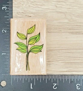Hampton Art Studio PLANT LEAVES Wood Mounted Rubber Stamp 2010, NEW - Picture 1 of 4