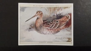 J. PLAYER. 1928. NO 21. GAME BIRDS AND WILD FOWL. GREAT SNIPE. - Picture 1 of 2