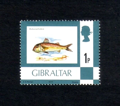 Gibraltar 1977 Red Mullet fish single value (SG 375) MNH - Image 1 of 2