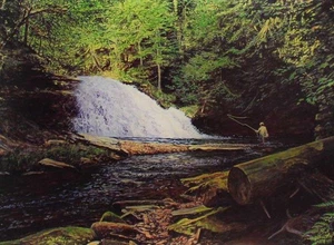 Peter Corbin Falls edición abierta en papel - Imagen 1 de 1