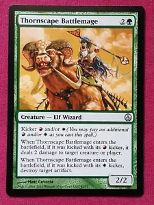 Magic The Gathering DUEL DECKS PHYREXIA VS COALTION THORNSCAPE BATTLEMAGE MTG - Picture 1 of 2
