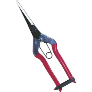 Chikamasa T-570 Long Bud-cutting Shears Snips (Stainless) F/S w/Tracking# Japan - Picture 1 of 3