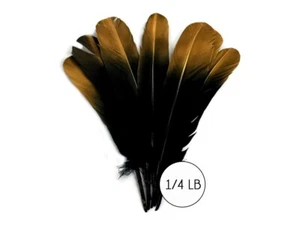 1/4 lbs. - Gold Metallic Black Tipped Tom Turkey Rounds Imitation eagle feather - Picture 1 of 7