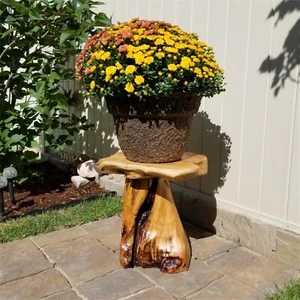 HST Cedar Roots Plant Stand & Mushroom Stool Naturally Shaped Side Table 13.5"H - Picture 1 of 21