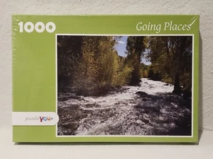 DePonte Creations Puzzle You 1000 pc Jigsaw Puzzle "Going Places" - Picture 1 of 3