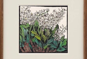 Australian Wildflower Painting Flower Margaret Preston Art Deco Rock Lilly - Picture 1 of 3
