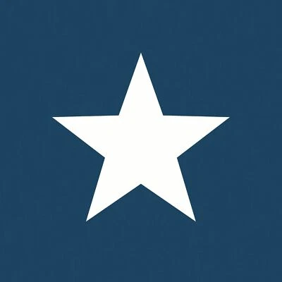 Stars World of Wallpaper AF0025 Marine / Blanc Texturé Enfants Garderie - Photo 1/4