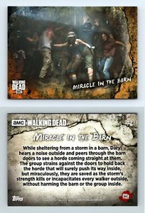 Miracle #76 The Walking Dead Road To Alexandria 2018 Topps Rust Parallel Card