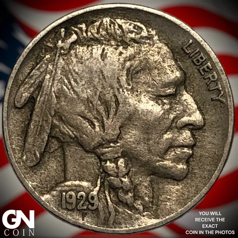 1929 S Buffalo Nickel Q6110 Cover