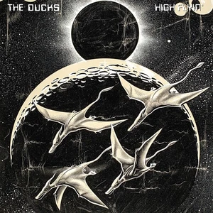 The Ducks High Flyin' (Vinyl) 12" Album - Picture 1 of 1