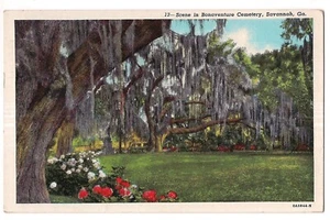 BONAVENTURE Cemetery Spanish Moss Savannah Georgia GA Postcard Linen 1947 - Picture 1 of 2