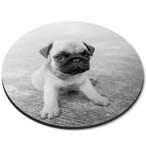 Round Mouse Mat (bw) - Tiny Tan Pug Puppy Dog Cute #36791 - Afbeelding 1 van 8
