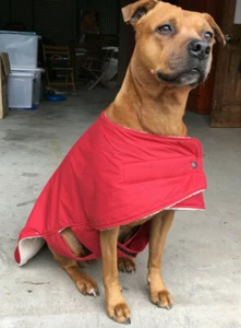 Waterproof Australian Oilskin Dog coat very big 65cm sherpa lining harness hole - Picture 1 of 7