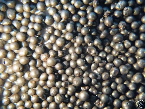 HAMMERPREIS: 250 g Stahlgranulat, mittlere Körnung zum Befüllen - Bild 1 von 1