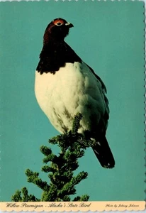 Willow Ptarmigan, Alaska's State Bird Postcard - Picture 1 of 2