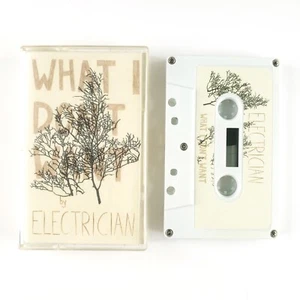 Electrician - What I Don't Want - 2015 Kerchow Records - Limited Edition Folk - Picture 1 of 4