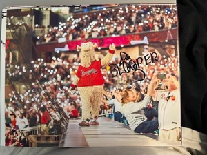 Blooper Signed 8x10 Photo Atlanta Braves Mascot Autographed - Picture 1 of 1