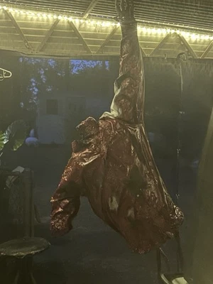 Halloween Prop Life Size Torso Gory Horror movies  Haunted House Guts 1 Off - Image 1 of 4