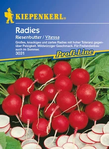Kiepenkerl Semilla De Rábano 'Riesenbutter/Vitessa' - Imagen 1 de 2