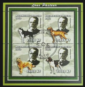 011.MOZAMBIQUE 2002 USED STAMP M/S PERSONALITIES- LOUIS PASTEUR , DOGS  . - Picture 1 of 1