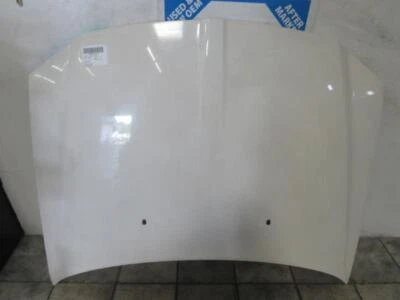 05 06 07 Campana extractora Dodge Magnum Foto 1 de 3