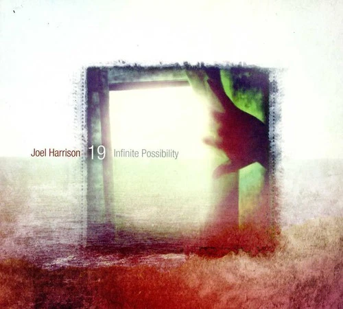 Joel Harrison 19 - Infinite Possibility [Used Very Good CD] - Изображение 1 из 1