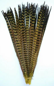 2 Pcs DYED YELLOW English Ringneck PHEASANT Feathers 20-26" Costume/Hats/Craft - Picture 1 of 3