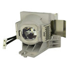 RLC-100 Lamp for VIEWSONIC PJD7720HD