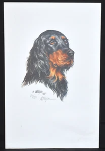 Impresión de perro A. Taylor "Gordon Setter" firmada #201/980 - Imagen 1 de 5