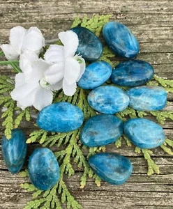 45g (12) PIEDRAS CURATIVAS PULIDAS CRISTAL APATITA AZUL/VERDE NATURAL Noruega - Imagen 1 de 3