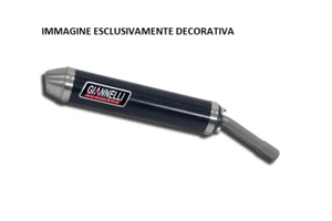 TERMINALE SILENZIATORE GIANNELLI CARBONIO VENT DERAPAGE 2019-2020 TYPE 50S - Foto 1 di 1
