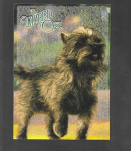 The Wizard of Oz Series II 2007 Characters Card CC7 Toto  - Picture 1 of 2