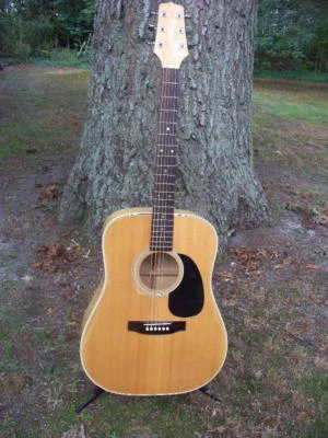 Guitarra Acústica Takamine 1987 F-350M Edredón Arce Japón DREADNOUGHT  Foto 1 de 4