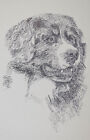 Bernese Mountain Dog Art Print #71 WORD DRAWING Kline adds your dogs name free.